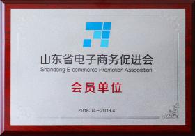 2018年成為山東省電子商務促進會會員單位