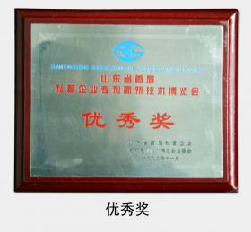 1999年被評為“山東省首屆私營企業專利高新技術博覽會優秀獎”